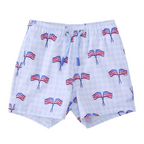 Boys swim trunks with American flag pattern on a light blue gingham check.