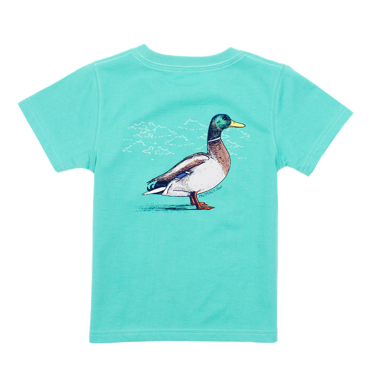 Properly Tied Boy's Duck on Soft Green Tee