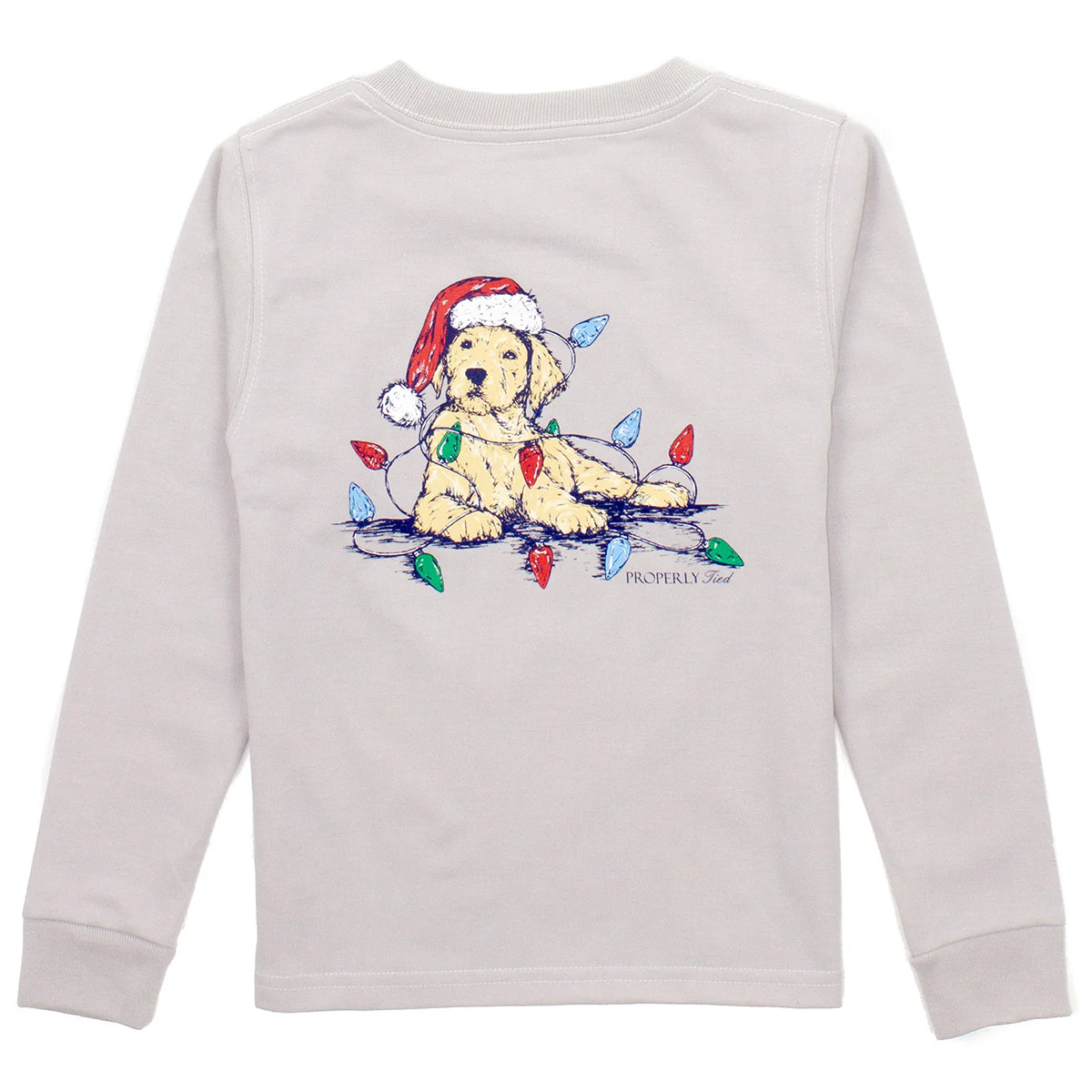 Boy's Santa Paws on Ice Grey Christmas T-Shirt